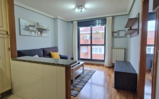 36554- ALQUILER DE APARTAMENTO AMUEBLADO DE 1 DORMITORIO EN CL ERÍA DEL HOSPITAL-POLA DE SIERO (ASTURIAS)