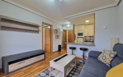 36554- ALQUILER DE APARTAMENTO AMUEBLADO DE 1 DORMITORIO EN CL ERÍA DEL HOSPITAL-POLA DE SIERO (ASTURIAS)