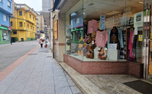 VENTA DE LOCAL Y NEGOCIO FUNCIONANDO EN CL CAVA BAJA-POLA DE LENA – LENA (ASTURIAS)