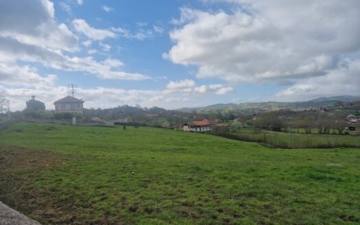 VENTA DE FINCA EDIFICABLE Y PARCELABLE DE 5.068 M2 EN SANTA EULALIA DE VIGIL-SANTOLAYA (SIERO)