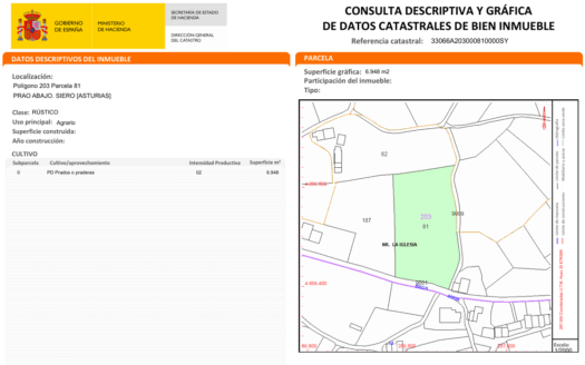 VENTA DE 2 FINCAS COLINDANTES Y PARCELABLES DE 12.016 M2 EN SANTA EULALIA DE VIGIL (SANTOLAYA)-SIERO