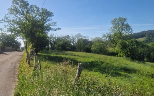 FINCA EDIFICABLE EN LES VALLINES-TIROCO-VALDESOTO (SIERO)