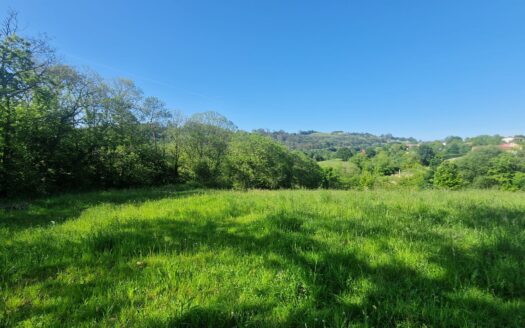 FINCA EDIFICABLE EN LES VALLINES-TIROCO-VALDESOTO (SIERO)