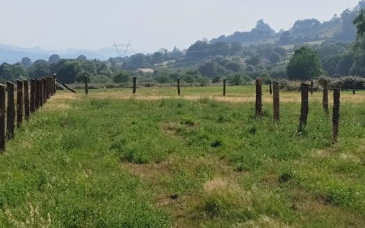 VENTA DE  PARCELA EDIFICABLE EN SANTA EULALIA DE VIGIL (SANTOLAYA) – SIERO
