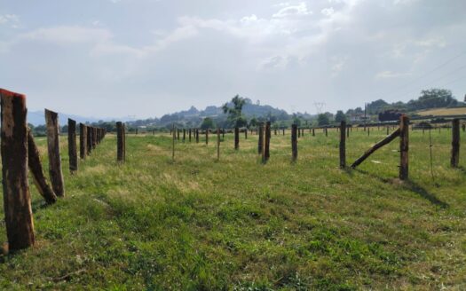 VENTA DE  PARCELA EDIFICABLE EN SANTA EULALIA DE VIGIL (SANTOLAYA) – SIERO