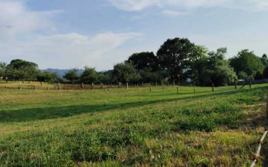 VENTA DE 2 PARCELAS EDIFICABLES EN COLLAO-LA SECADA- SIERO
