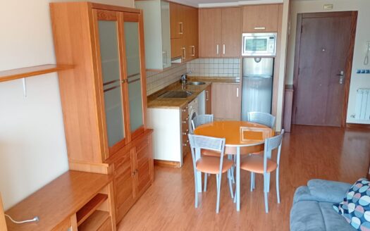 VENTA APARTAMENTO AMUEBLADO DE 1 DORMITORIO CON TRASTERO EN CL PARQUE DE PRIMAVERA (POLA DE SIERO)