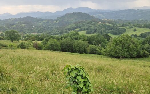 VENTA DE PARCELA EDIFICABLE DE 1.000 M2 EN ORDIALES-MUNCÓ (SIERO)