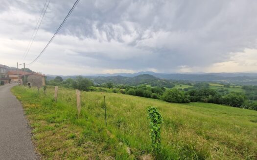 VENTA DE PARCELA EDIFICABLE DE 1.000 M2 EN ORDIALES-MUNCÓ (SIERO)