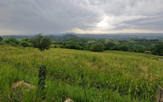VENTA DE PARCELA EDIFICABLE DE 1.000 M2 EN ORDIALES-MUNCÓ (SIERO)
