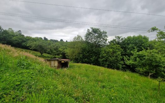 VENTA DE FINCA NO EDIFICABLE DE 2.500 M2 EN SANTIAGO DE ARENAS (SIERO)