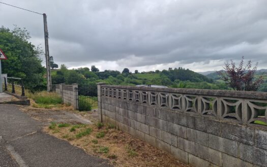 VENTA DE FINCA NO EDIFICABLE DE 2.500 M2 EN SANTIAGO DE ARENAS (SIERO)